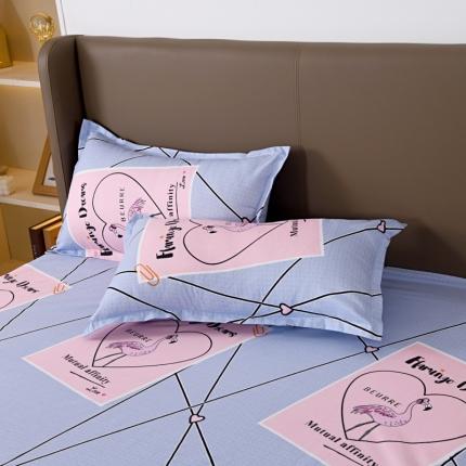 91家纺网 家纺一手货源 找家纺 （总）梵巢 家纺芦荟棉枕套磨毛化纤枕套48*74cm