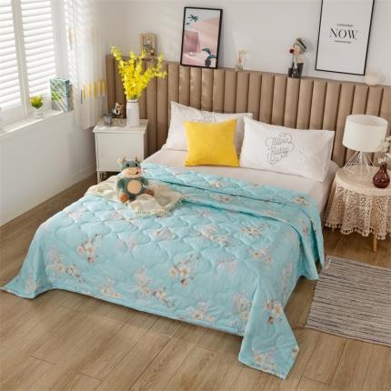 爱派 2022新款亲肤棉印花夏被空调被 梨花