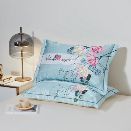 其奥 2023新款900D窝蜂数码大版冰丝凉席枕套 香草百合/对