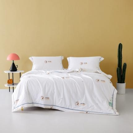 91家纺网 家纺一手货源 找家纺 （总）梦镜 2025新款A类60支全棉抗菌夏凉被