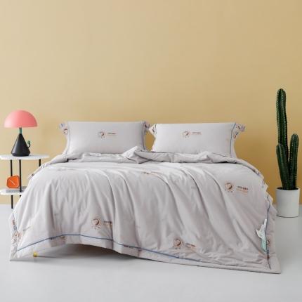 91家纺网 家纺一手货源 找家纺 （总）梦镜 2025新款A类60支全棉抗菌夏凉被