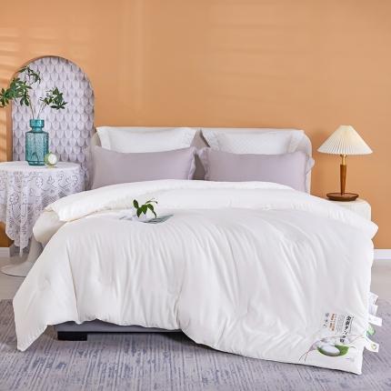 91家纺网 家纺一手货源 找家纺 （总）丽卡家纺 2023新款春款蚕蛹棉蛋白春秋大豆被