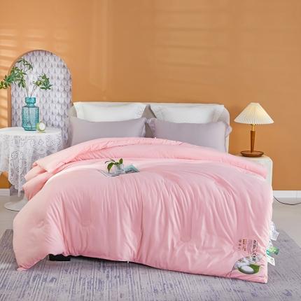 91家纺网 家纺一手货源 找家纺 丽卡家纺 2023新款春款蚕蛹棉蛋白春秋大豆被 蚕蛹棉蛋白大豆春秋被-粉