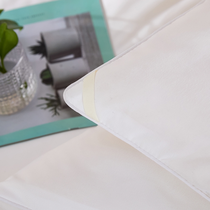 91家纺网 家纺一手货源 找家纺 丽卡家纺 2023新款春款蚕蛹棉蛋白春秋大豆被 蚕蛹棉蛋白大豆春秋被-白