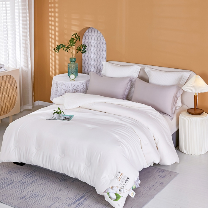 91家纺网 家纺一手货源 找家纺 丽卡家纺 2023新款春款蚕蛹棉蛋白春秋大豆被 蚕蛹棉蛋白大豆春秋被-白