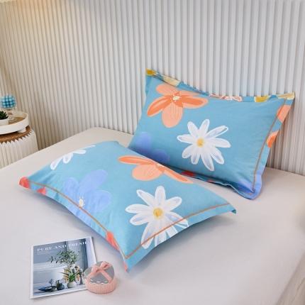 杜先生新款全棉加厚喷气活性磨毛枕套48*74/对花语时光-蓝