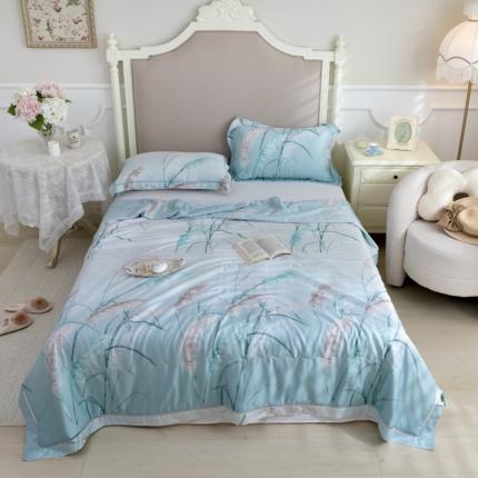 91家纺网 家纺一手货源 找家纺 (总) 棉生活家纺 2022新款莫代尔天丝夏被