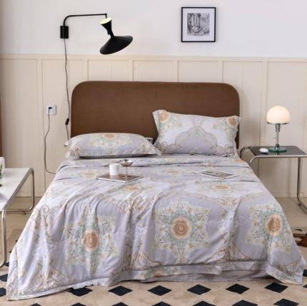 91家纺网 家纺一手货源 找家纺 棉生活家纺 2022新款莫代尔天丝夏被爱德堡