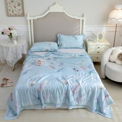 棉生活家纺 2022新款莫代尔天丝夏被彩羽