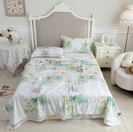 棉生活家纺 2022新款莫代尔天丝夏被倾城米