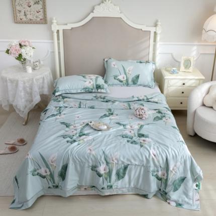 棉生活家纺 2022新款莫代尔天丝夏被雅韵绿