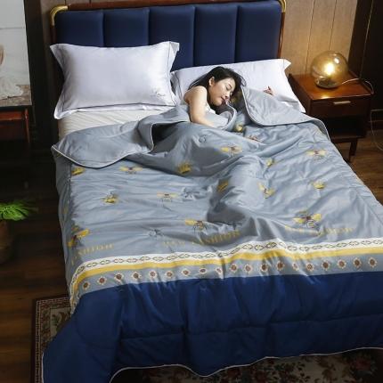 91家纺网 家纺一手货源 找家纺 （总）找底底家纺 2022新款凉感丝空调被