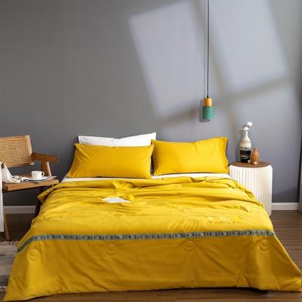 vip被业 2022新款清香夏被 贵族黄