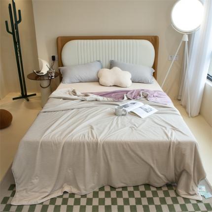 星座  2025春夏A类凉感丝夏被空调被芯被子 浅灰