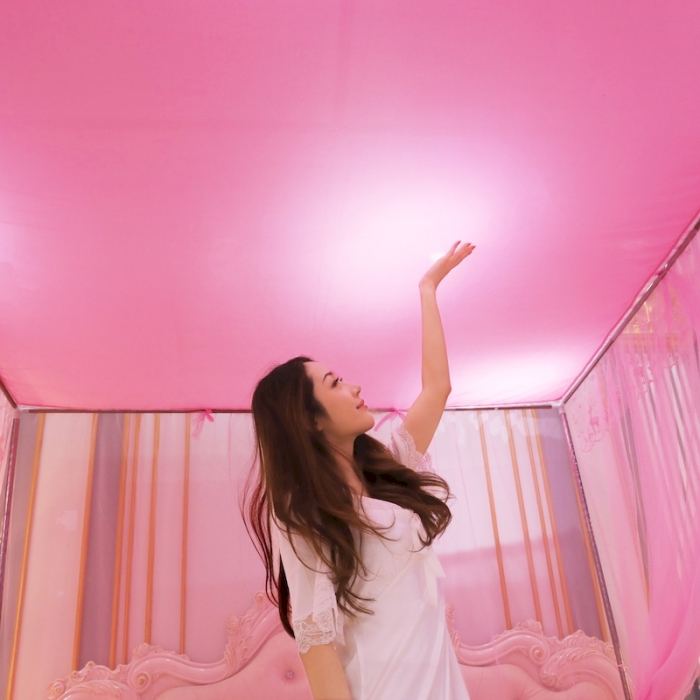 91家纺网 家纺一手货源 找家纺 初心 2025新款三开门防尘顶蚊帐-幸福鹿粉色