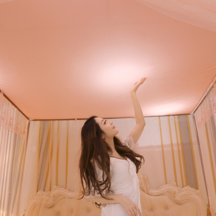 91家纺网 家纺一手货源 找家纺 初心 2025新款三开门防尘顶蚊帐-幸福鹿玉色