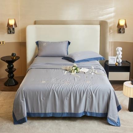 91家纺网 家纺一手货源 找家纺 （总）头等舱 2022新款莫代尔天丝A类至纯大豆抗菌防螨夏被