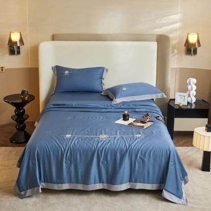 91家纺网 家纺一手货源 找家纺 （总）头等舱 2022新款莫代尔天丝A类至纯大豆抗菌防螨夏被