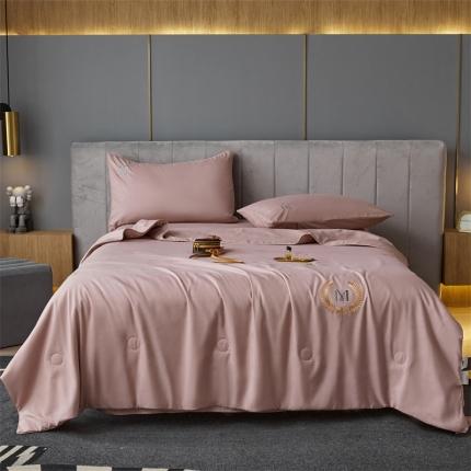 91家纺网 家纺一手货源 找家纺 （总）头等舱 2022新款四季棉A类大豆抗菌防螨夏被