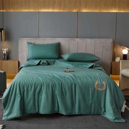 91家纺网 家纺一手货源 找家纺 （总）头等舱 2022新款四季棉A类大豆抗菌防螨夏被