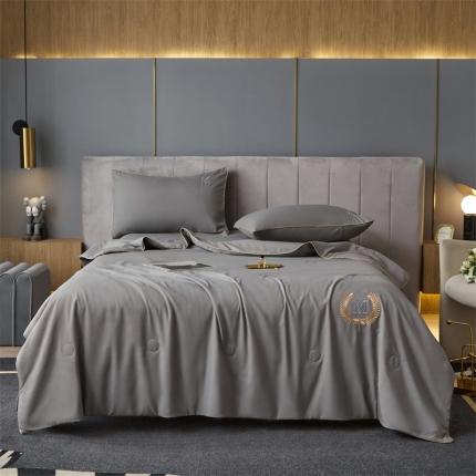 91家纺网 家纺一手货源 找家纺 （总）头等舱 2022新款四季棉A类大豆抗菌防螨夏被