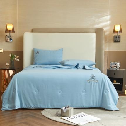 91家纺网 家纺一手货源 找家纺 （总）头等舱 2022新款甄柔棉A类雕花大豆抗菌防螨夏被