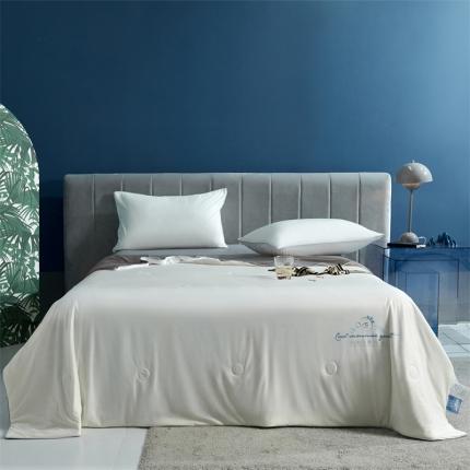 91家纺网 家纺一手货源 找家纺 （总）头等舱 2022新款科技A类凉感大豆抗菌夏被