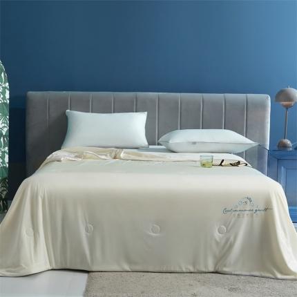 91家纺网 家纺一手货源 找家纺 （总）头等舱 2022新款科技A类凉感大豆抗菌夏被