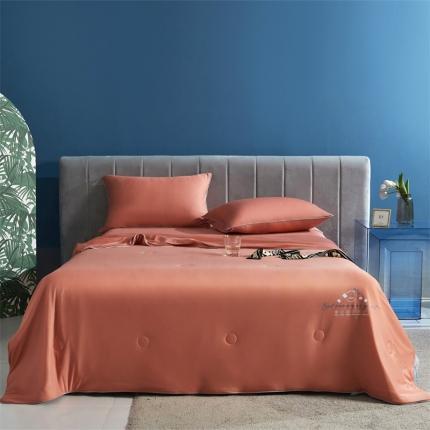 91家纺网 家纺一手货源 找家纺 （总）头等舱 2022新款科技A类凉感大豆抗菌夏被