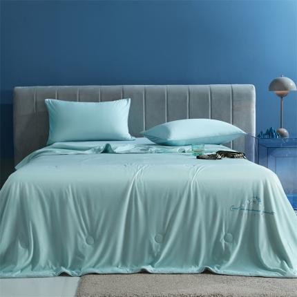 91家纺网 家纺一手货源 找家纺 （总）头等舱 2022新款科技A类凉感大豆抗菌夏被