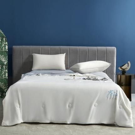 91家纺网 家纺一手货源 找家纺 （总）头等舱2022新款A类100%锦纶凉感35大豆抗菌夏被