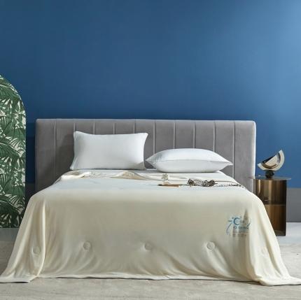 91家纺网 家纺一手货源 找家纺 （总）头等舱2022新款A类100%锦纶凉感35大豆抗菌夏被