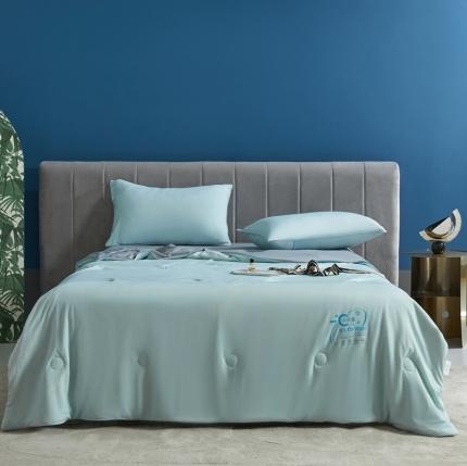 91家纺网 家纺一手货源 找家纺 （总）头等舱2022新款A类100%锦纶凉感35大豆抗菌夏被