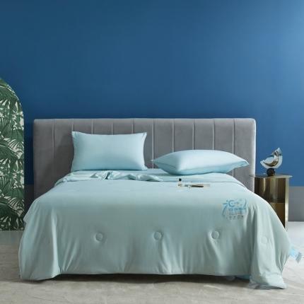 91家纺网 家纺一手货源 找家纺 （总）头等舱2022新款A类100%锦纶凉感35大豆抗菌夏被