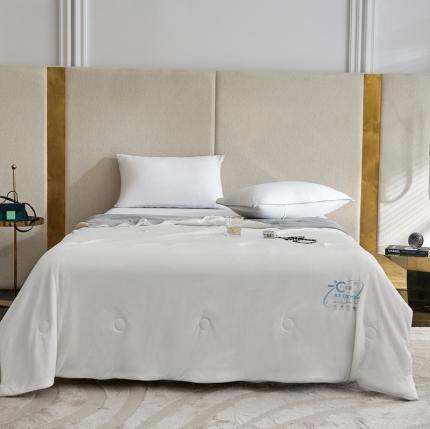 91家纺网 家纺一手货源 找家纺 （总）头等舱2022新款A类100%锦纶凉感35大豆抗菌夏被