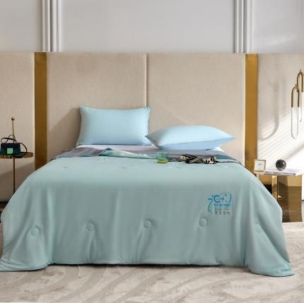 91家纺网 家纺一手货源 找家纺 （总）头等舱2022新款A类100%锦纶凉感35大豆抗菌夏被