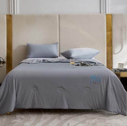 91家纺网 家纺一手货源 找家纺 （总）头等舱2022新款A类100%锦纶凉感35大豆抗菌夏被