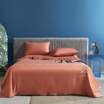 91家纺网 家纺一手货源 找家纺 头等舱 2022新款科技A类凉感大豆抗菌夏被 凉感橙桔