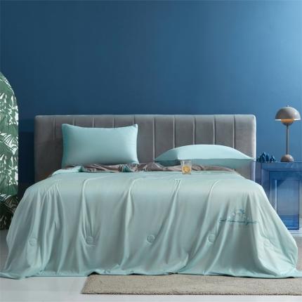 91家纺网 家纺一手货源 找家纺 头等舱 2022新款科技A类凉感大豆抗菌夏被 凉感蓝灰