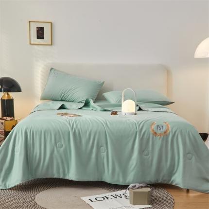 头等舱 2022新款四季棉A类大豆抗菌防螨夏被蜻涩-浅绿