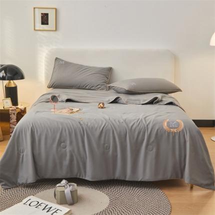 91家纺网 家纺一手货源 找家纺 头等舱 2022新款四季棉A类大豆抗菌防螨夏被蜻涩-银灰