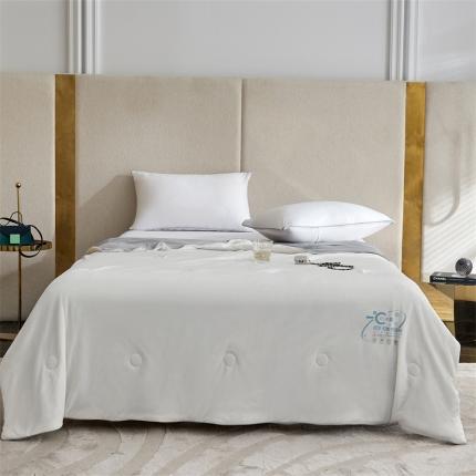 91家纺网 家纺一手货源 找家纺 头等舱22新款A类100%锦纶凉感35大豆抗菌夏被舒夏白灰