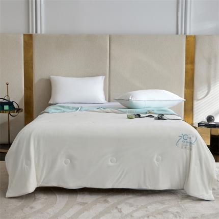 91家纺网 家纺一手货源 找家纺 头等舱22新款A类100%锦纶凉感35大豆抗菌夏被舒夏白兰