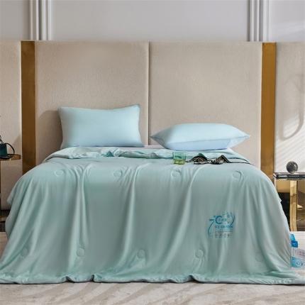 91家纺网 家纺一手货源 找家纺 头等舱22新款A类100%锦纶凉感35大豆抗菌夏被舒夏浅兰