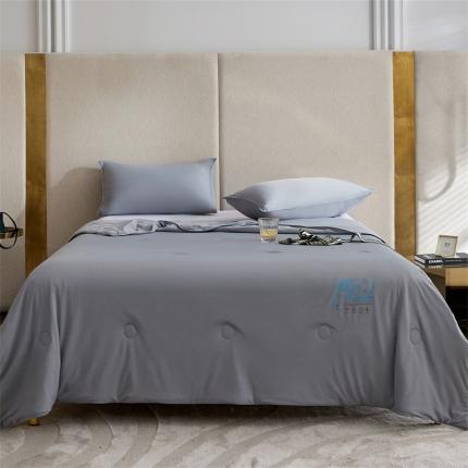 91家纺网 家纺一手货源 找家纺 头等舱22新款A类100%锦纶凉感35大豆抗菌夏被舒夏银灰