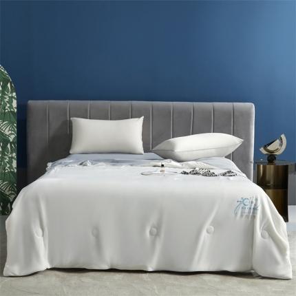 91家纺网 家纺一手货源 找家纺 头等舱22新款A类100%锦纶凉感35大豆抗菌夏被舒夏白灰