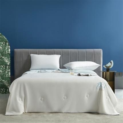 91家纺网 家纺一手货源 找家纺 头等舱22新款A类100%锦纶凉感35大豆抗菌夏被舒夏白兰