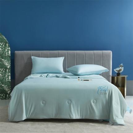 91家纺网 家纺一手货源 找家纺 头等舱22新款A类100%锦纶凉感35大豆抗菌夏被舒夏浅兰