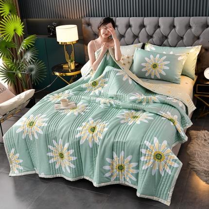 圣楚 2024年新款清新水洗单夏被夏凉被空调被直播供货 落花