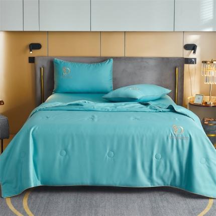 91家纺网 家纺一手货源 找家纺 （总）头等舱2022舒雅棉A类贡缎60支35大豆抗菌夏凉被